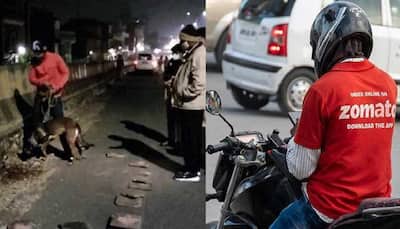 Noida: Law student arrested for killing Zomato delivery executive by car with 'judge' sticker