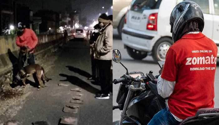 Noida: Law student arrested for killing Zomato delivery executive by car with 'judge' sticker