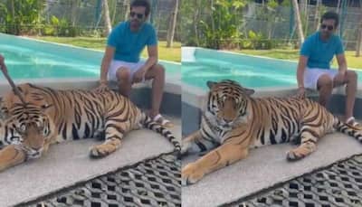 Tamil actor Santhanam faces major backlash for posing with tiger, holding its tail in viral video- Watch 