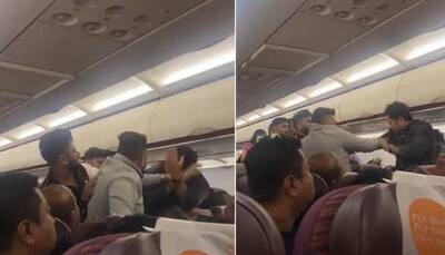 Fistfight on Bangkok-Kolkata Flight: What led to a full-blown brawl between passengers? Latest update