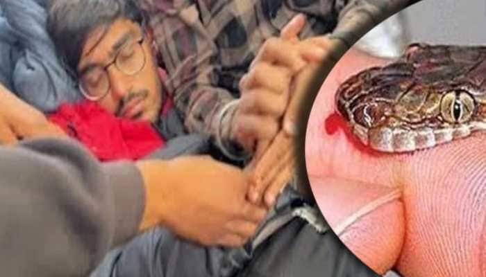 Amit Sharma, Top Rajasthan YouTuber, BITTEN BY SNAKE, is CRITICAL - Know SHOCKING DETAILS 