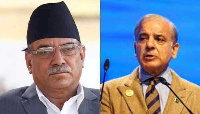 'No greater loss than losing...': Japan, Nepal, Pakistan leaders mourn PM Modi mother's death