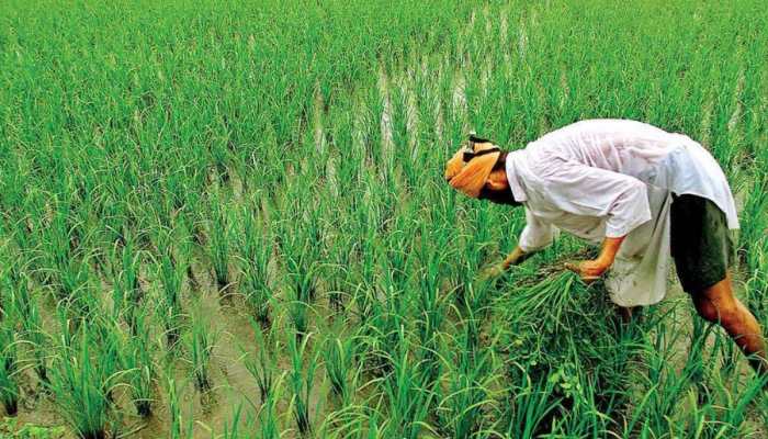 India&#039;s agricultural products exports in 2022-23 up 16 %