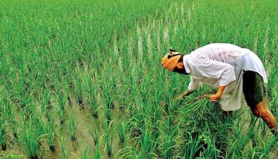 India's agricultural products exports in 2022-23 up 16 %