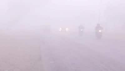 Delhi, Uttar Pradesh welcome New Year with biting cold, dense fog