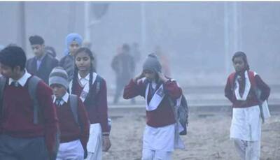 Cold wave grips north India, winter vacations extended in schools in THESE states