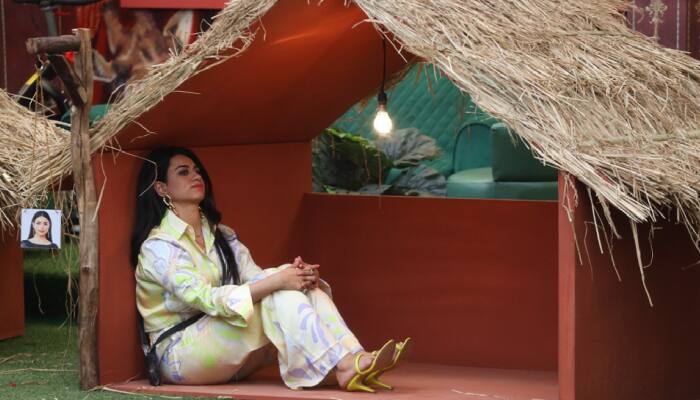 Bigg Boss 16 episode preview: Discussion on Shalin-Tina's relationship, Archana-Sreejita's verbal spat, nominations drill, and a lot more today!