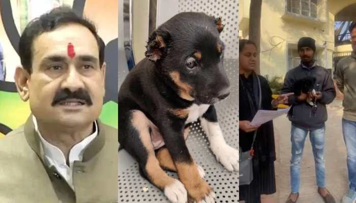 MP SHOCKER! Man chops off puppy&#039;s ears with scissors; Home Minister announces UNIQUE punishment