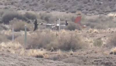 US Plane Crash: Accident at Provo Airport claims one life, injures three