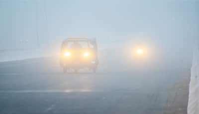 Cold wave, dense fog conditions to prevail in Rajasthan, Punjab - Check IMD's weather update