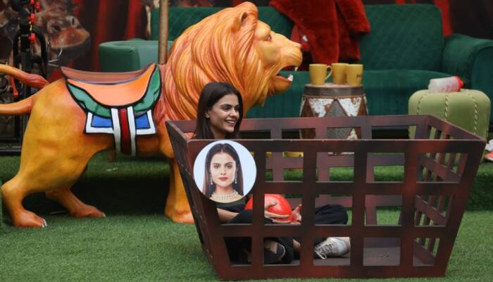 Bigg Boss 16 episode preview: Will Priyanka Chahar Choudhary finally earn captaincy? Watch the episode tonight