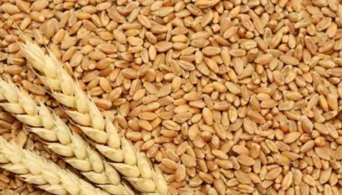 ‘Time when wheat used to be Rs 1.6 per kg’: Bill from 1987 surfaced online, check what happens NEXT