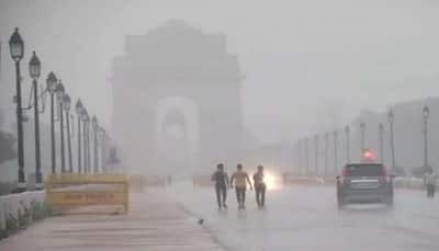 Delhi becomes colder than Dharamshala, Nainital and Dehradun - Check IMD's weekly weather report HERE