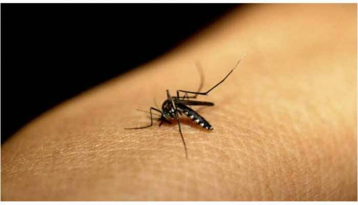 Delhi recorded 4,469 dengue cases; 9 deaths in 2022: MCD