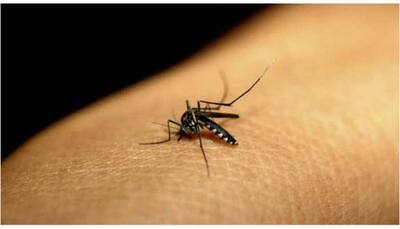 Delhi recorded 4,469 dengue cases; 9 deaths in 2022: MCD
