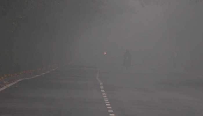 COLD WAVE: Delhi Ridge shivers at 1.5 degrees, Bikaner is at zero degree - check IMD's weather report 