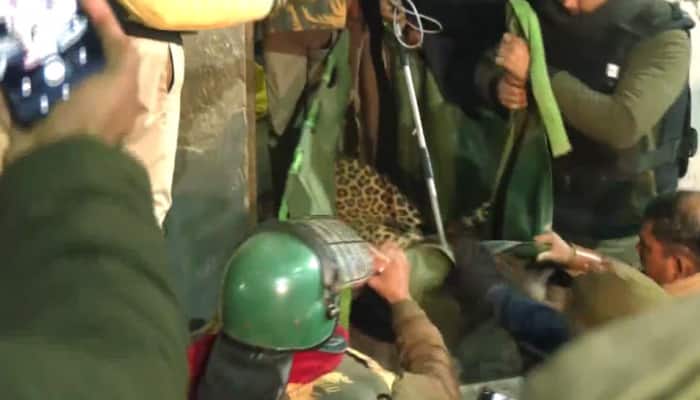 Watch: Leopard enters house in UP's Aligarh, rescued