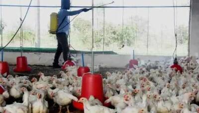 Bird flu in Kerala: ‘No cause of concern but precautions need to be taken,’ says Health Minister