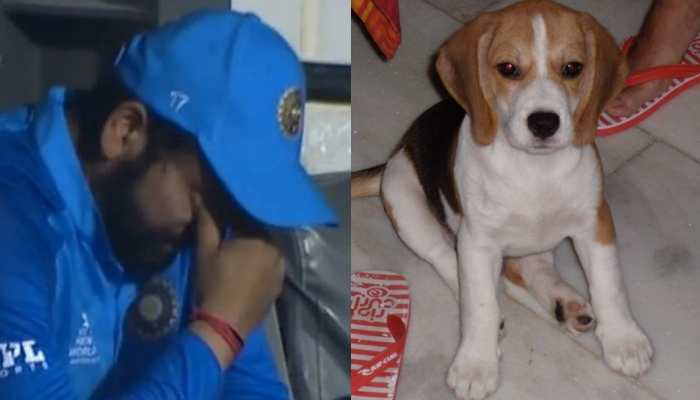Rohit Sharma's pet dog passes away, wife Ritika Sajdeh pens down emotional  message - Check Pics | Cricket News | Zee News