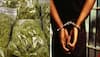 Doctors, medical students among 10 arrested for ganja consumption, peddling in Mangaluru