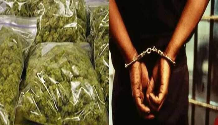 Doctors, medical students among 10 arrested for ganja consumption, peddling in Mangaluru