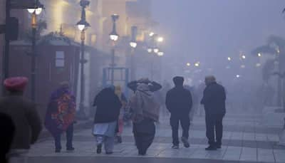 Weather updates: Dense fog to engulf Delhi, rainfall in UP, Punjab and Haryana, check IMD's forecast