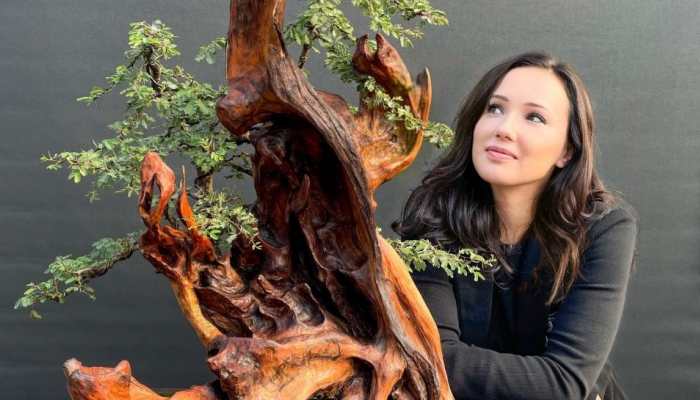 Exploring the Intersection of Art and Ecology with Dr. Kasia Sterriker