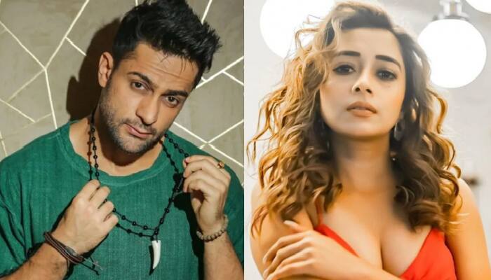 Bigg Boss 16: Does Tina's survival on the show depend on Shalin? Here's what we know