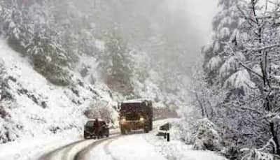 Himachal Pradesh covered under snow blanket, IMD predicts more snowfall in next 48 hours 