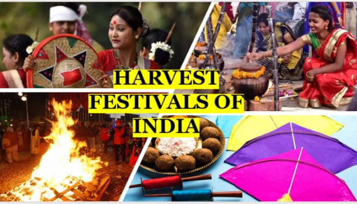 From Pongal to Lohri: Celebrity nutritionist Rujuta Diwekar&#039;s guide to seasonal eating this harvest season
