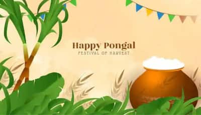 Pongal 2023: History, significance, rituals - know all about four days of celebrations
