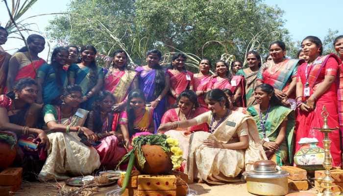 Pongal 2023: Tamil Nadu government declares holidays in schools till Jan 18 for Pongal celebration