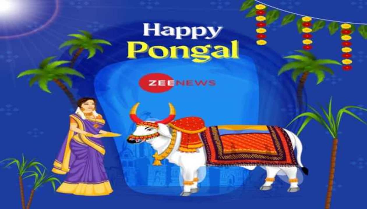 Happy Mattu Pongal: Wishes, greetings, messages and WhatsApp ...