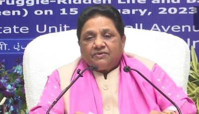 On her birthday, Mayawati says no to alliance; alleges EVM sabotage