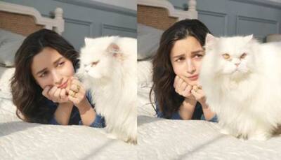 Alia Bhatt shares glimpse of her ‘not so happy Sunday’ as she gets ignored by her cat Edward- See Pic 