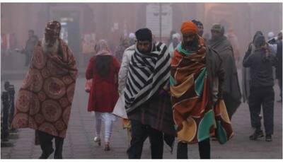 Weather update: Severe cold, dense fog likely to grip North India for next three days
