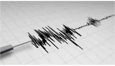 Earthquake of 6.0 magnitude hits Indonesia coast, no tsunami alert issued