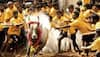 Jallikattu 2023: Over 60 people injured during bull taming sport in Tamil Nadu's Madurai