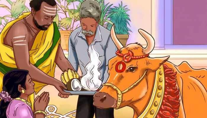 Happy Mattu Pongal 2023: Know date, significance, importance and story of Cow festival