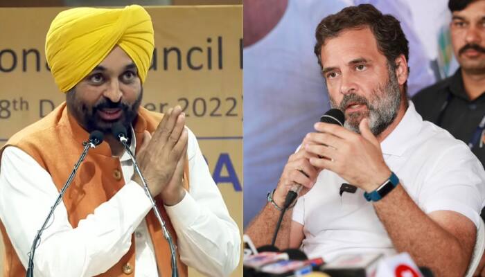 Bhagwant Mann should not be &#039;anyone&#039;s remote control&#039;, says Rahul Gandhi; Punjab CM hits back