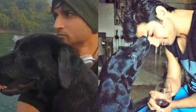 Sushant Singh Rajput's pet dog Fudge dies; actor's fans mourn demise, say 'They are reunited now in heaven...'