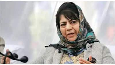 Talks with Pakistan should start with restoration of Kashmir's special status: Mehbooba Mufti