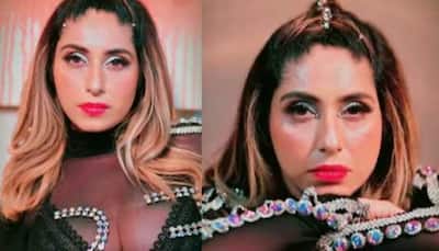 Neha Bhasin goes all glam and glitter in black net outfit in new reel, says, ‘Some girls dream of dolls, some of being a Diva’- Watch 