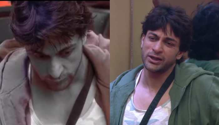 Bigg Boss 16, Day 115 Updates: Shalin breaks down asking Shiv, Stan to nominate him this week