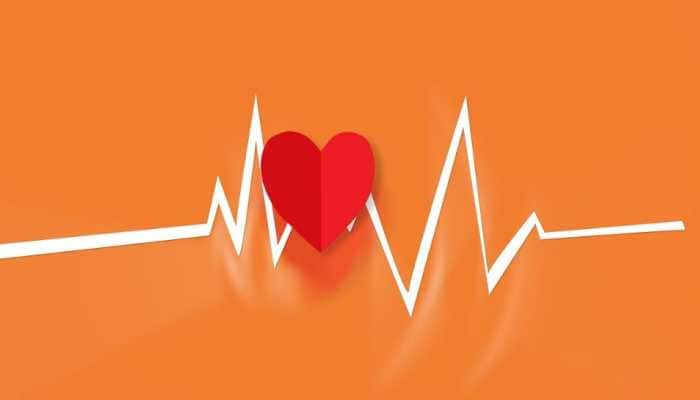 How male and female hearts react differently to the stress hormone: What study found