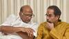 Maharashtra Politics: Disagreement in Maha Vikas Aghadi, Both Shiv Sena, NCP Want To Contest Chinchwad Bypoll