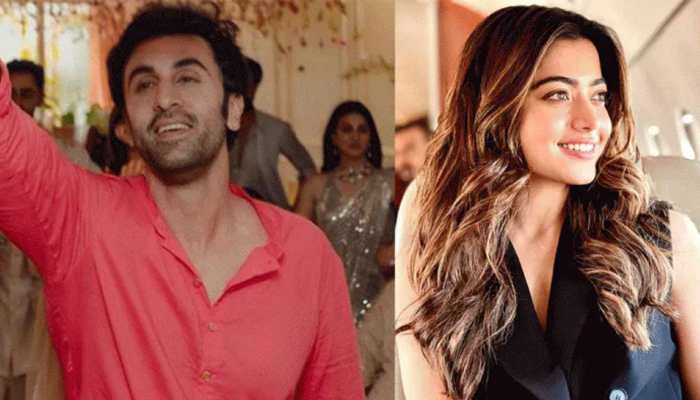 Pathaan Mania! Rashmika Mandanna and Ranbir Kapoor along with the team of Animal watch Shah Rukh Khan's massive hit!