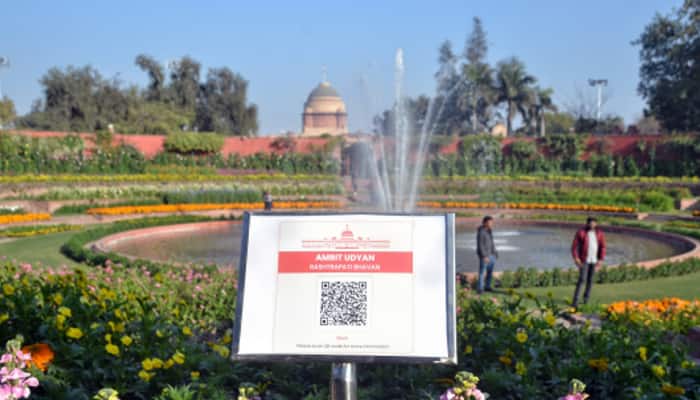 Mughal Gardens Will now be Called 'Amrit Udyan'; A Look at its Rich History