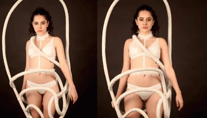 Urfi Javed Wraps Spider-Web-Themed Rope Over Bikini, Netizens Drop Hilarious Reactions: Video