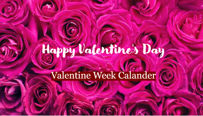 Valentine's Week 2023 Full List: Important Dates Schedule Full List And All  You Need To Know About The Days Of Love | Culture News | Zee News